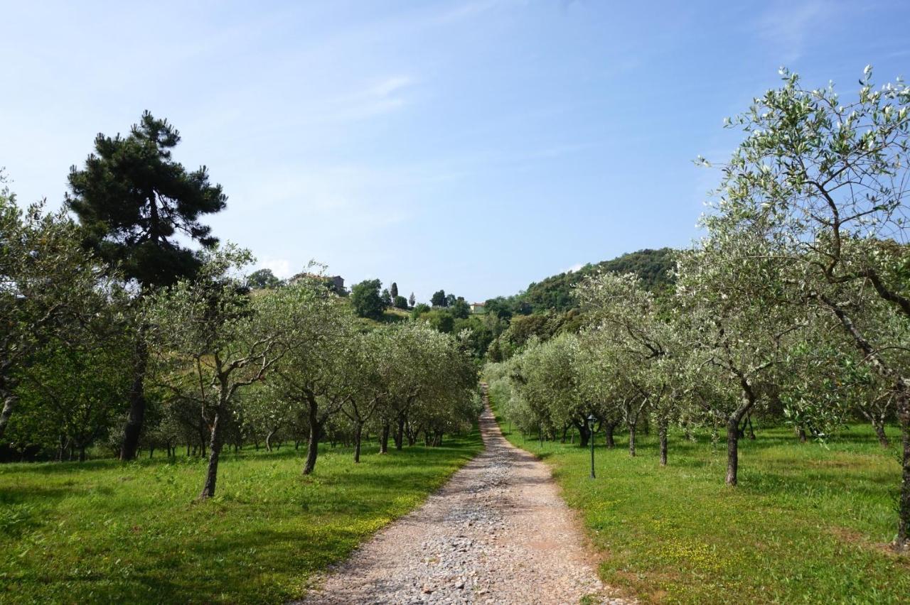 Agriturismo Le Vallilunghe Lejlighed Lucca Eksteriør billede