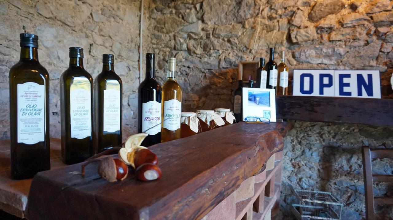 Agriturismo Le Vallilunghe Lejlighed Lucca Eksteriør billede