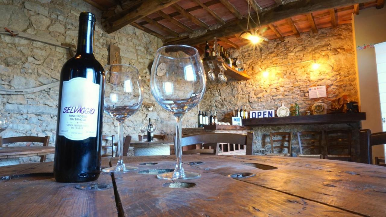 Agriturismo Le Vallilunghe Lejlighed Lucca Eksteriør billede