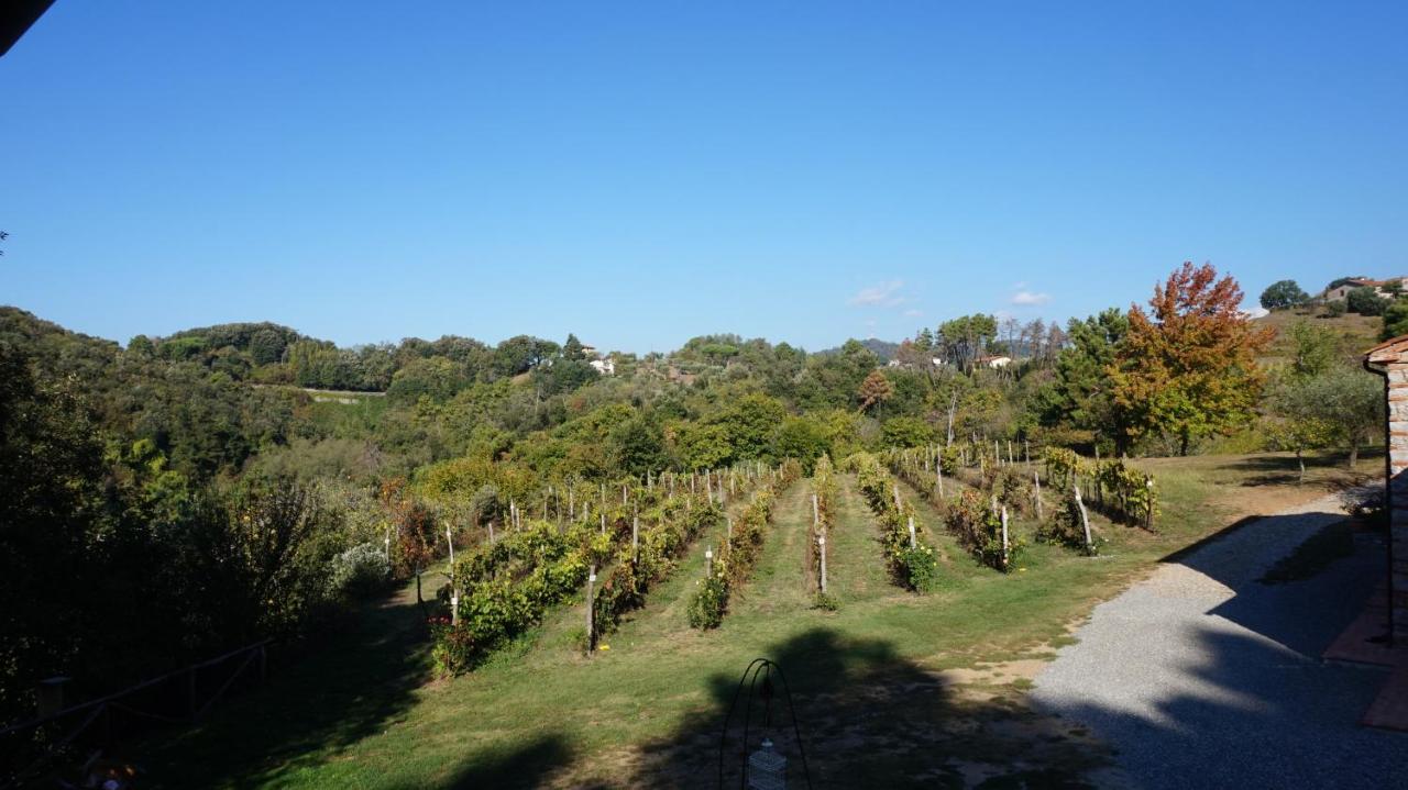 Agriturismo Le Vallilunghe Lejlighed Lucca Eksteriør billede