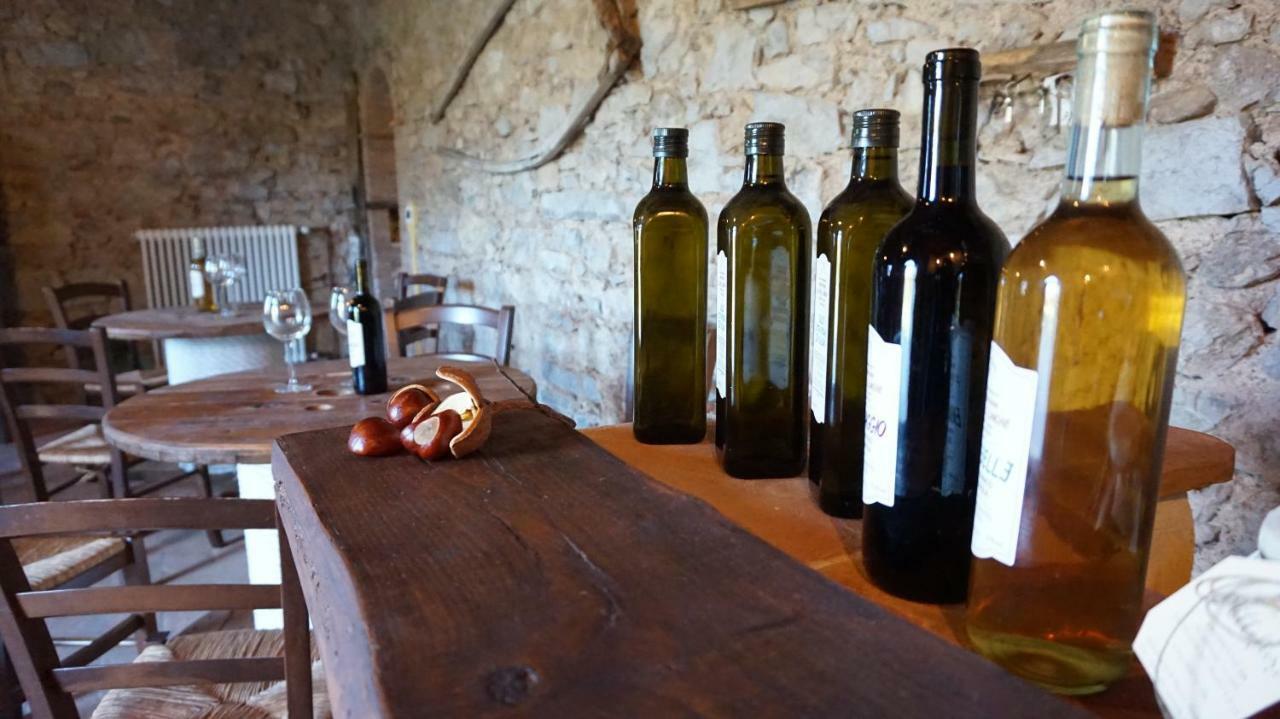 Agriturismo Le Vallilunghe Lejlighed Lucca Eksteriør billede