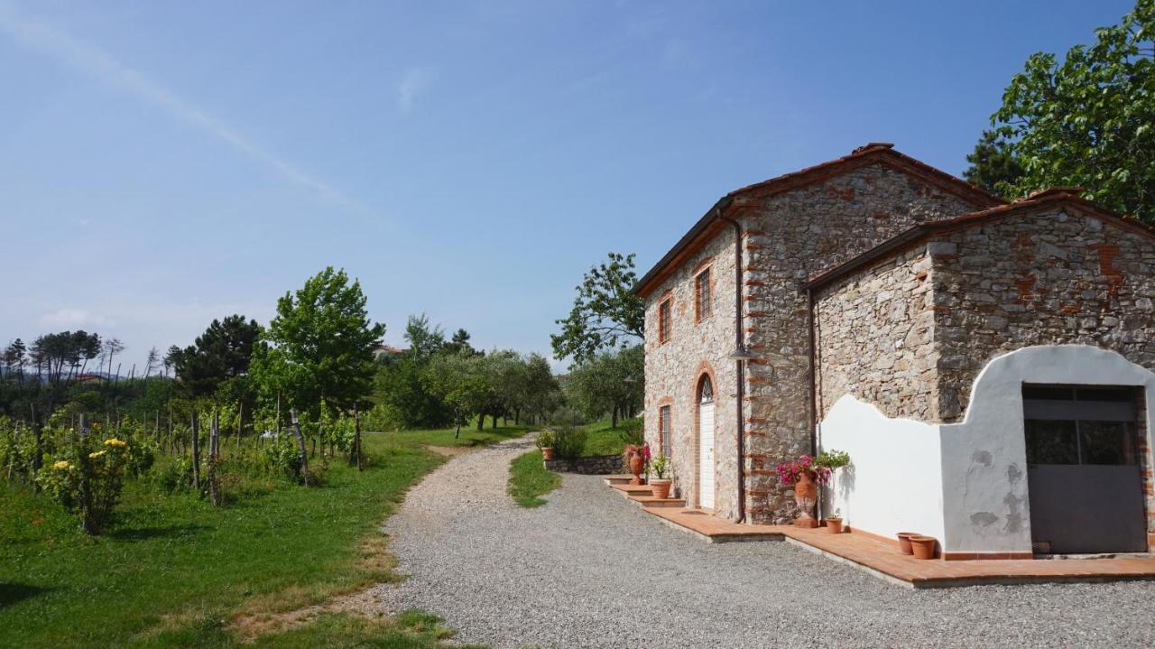 Agriturismo Le Vallilunghe Lejlighed Lucca Eksteriør billede